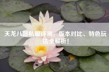 天龙八部私服评测，版本对比、特色玩法全解析！