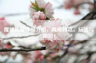 魔域私服详细介绍，揭秘特点、玩法与风险！