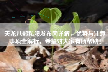 天龙八部私服发布网详解，优势与注意事项全解析，希望对大家有所帮助！