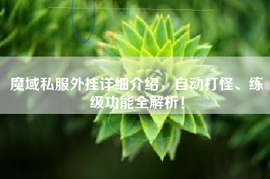 魔域私服外挂详细介绍,自动打怪、练级功能全解析! 第1张 魔域私服外挂详细介绍,自动打怪、练级功能全解析! 第1张