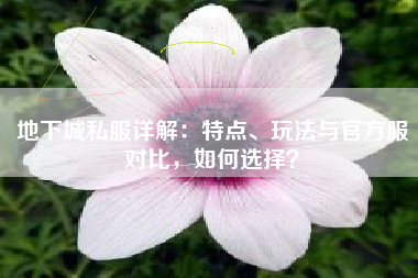 地下城私服详解：特点、玩法与官方服对比，如何选择？  第1张