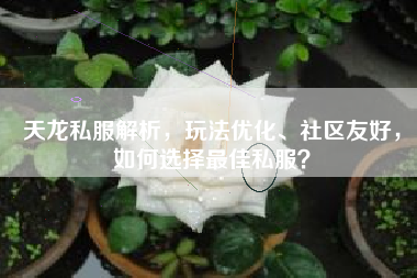 天龙私服解析，玩法优化、社区友好，如何选择最佳私服？  第1张
