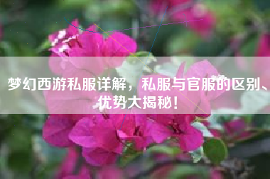 梦幻西游私服详解，私服与官服的区别、优势大揭秘！  第1张