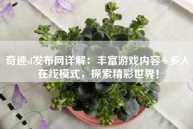 奇迹sf发布网详解：丰富游戏内容+多人在线模式，探索精彩世界！