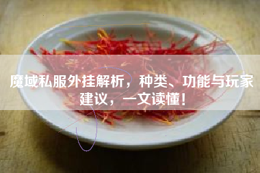 魔域私服外挂解析,种类、功能与玩家建议,一文读懂! 第1张 魔域私服外挂解析,种类、功能与玩家建议,一文读懂! 第1张