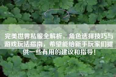 完美世界私服全解析,角色选择技巧与游戏玩法指南,希望能给新手玩家们提供一些有用的建议和指导! 第1张 完美世界私服全解析,角色选择技巧与游戏玩法指南,希望能给新手玩家们提供一些有用的建议和指导! 第1张