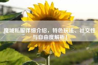 魔域私服详细介绍，特色玩法、社交性与自由度解析！  第1张