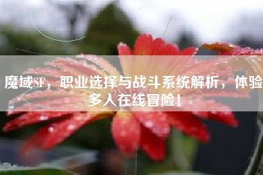 魔域SF,职业选择与战斗系统解析,体验多人在线冒险! 第1张 魔域SF,职业选择与战斗系统解析,体验多人在线冒险! 第1张