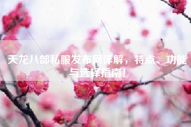 天龙八部私服发布网详解，特点、功能与选择指南！  第1张