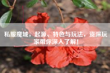 私服魔域,起源、特色与玩法,资深玩家带你深入了解! 第1张 私服魔域,起源、特色与玩法,资深玩家带你深入了解! 第1张