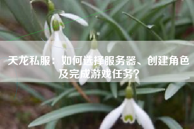 天龙私服：如何选择服务器、创建角色及完成游戏任务？