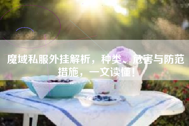 魔域私服外挂解析，种类、危害与防范措施，一文读懂！