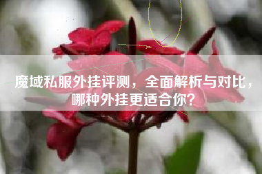 魔域私服外挂评测,全面解析与对比,哪种外挂更适合你? 第1张 魔域私服外挂评测,全面解析与对比,哪种外挂更适合你? 第1张