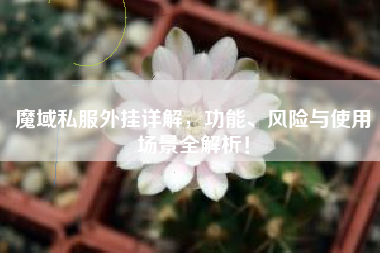 魔域私服外挂详解，功能、风险与使用场景全解析！  第1张