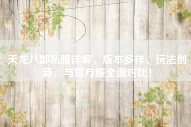 天龙八部私服详解，版本多样、玩法创新，与官方服全面对比！  第1张