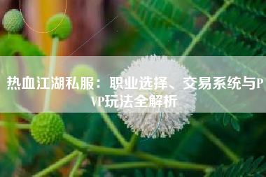 热血江湖私服：职业选择、交易系统与PVP玩法全解析
