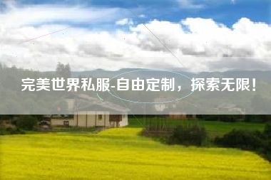 完美世界私服-自由定制,探索无限! 第1张 完美世界私服-自由定制,探索无限! 第1张