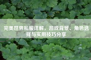 完美世界私服详解，游戏背景、角色选择与实用技巧分享  第1张
