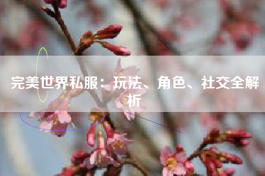完美世界私服：玩法、角色、社交全解析  第1张