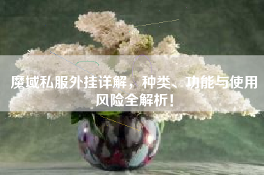 魔域私服外挂详解，种类、功能与使用风险全解析！
