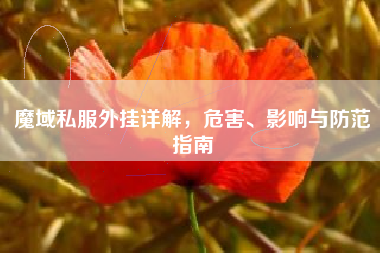 魔域私服外挂详解,危害、影响与防范指南 第1张 魔域私服外挂详解,危害、影响与防范指南 第1张