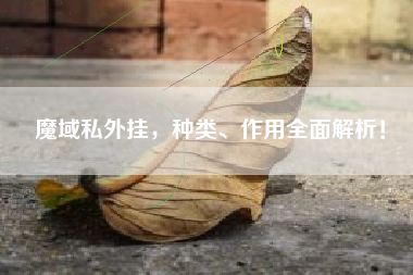 魔域私外挂,种类、作用全面解析! 魔域私外挂,种类、作用全面解析!