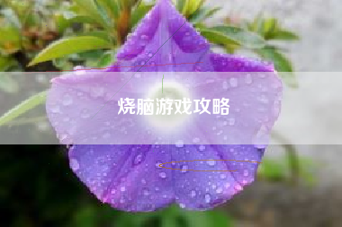 烧脑游戏攻略 烧脑游戏攻略