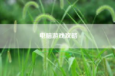 电脑游戏攻略 电脑游戏攻略