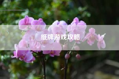 纸牌游戏攻略