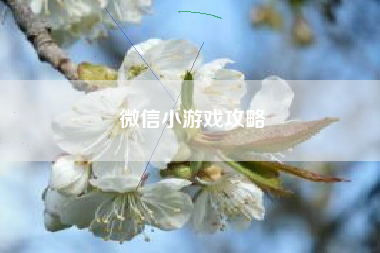 微信小游戏攻略