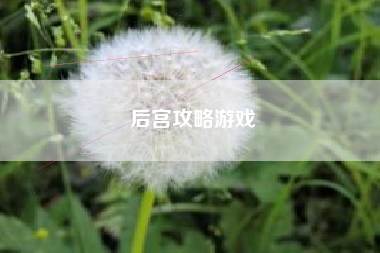 后宫攻略游戏