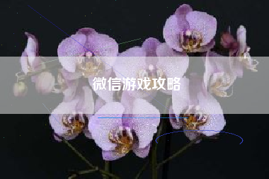微信游戏攻略 微信游戏攻略