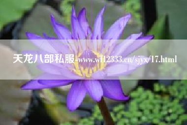 天龙八部私服-www.wf12333.cn/sjyx/17.html