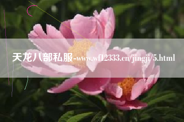 天龙八部私服-www.wf12333.cn/yxphb/5.html