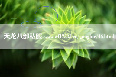 天龙八部私服-www.wf12333.cn/yxgonglue/46.html