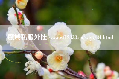 魔域私服外挂-www.wf12333.cn/vwangyou/34.html