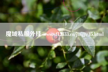 魔域私服外挂-www.wf12333.cn/yxphb/45.html
