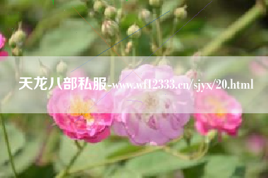 天龙八部私服-www.wf12333.cn/vshouyou/20.html