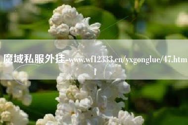 魔域私服外挂-www.wf12333.cn/yxgonglue/47.html
