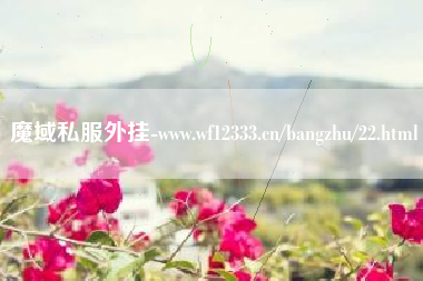 魔域私服外挂-www.wf12333.cn/bangzhu/22.html