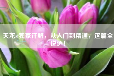 天龙sf独家详解，从入门到精通，这篇全说透！