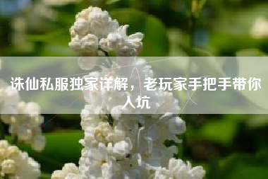 诛仙私服独家详解，老玩家手把手带你入坑