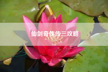 仙剑奇侠传三攻略