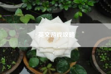 英文游戏攻略