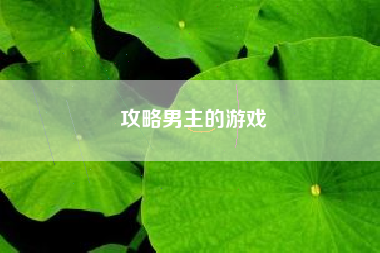 攻略男主的游戏