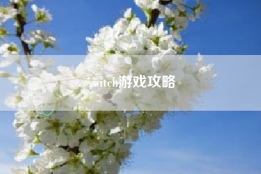 switch游戏攻略