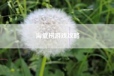 海底捞游戏攻略