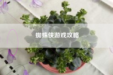 蜘蛛侠游戏攻略
