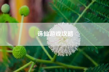 诛仙游戏攻略
