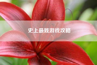 史上最贱游戏攻略